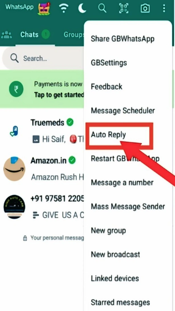 GB WhatsApp Features