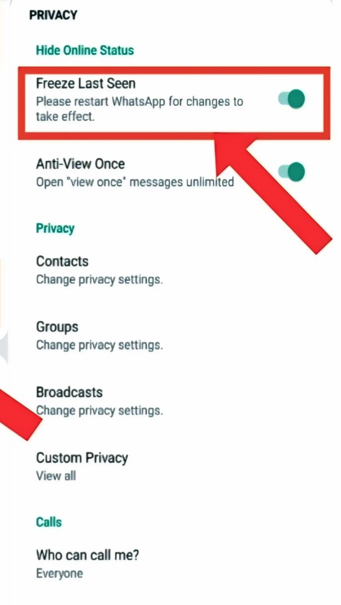 GB WhatsApp Features